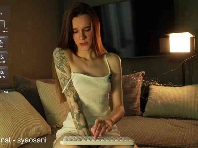 SyaoSan webcam