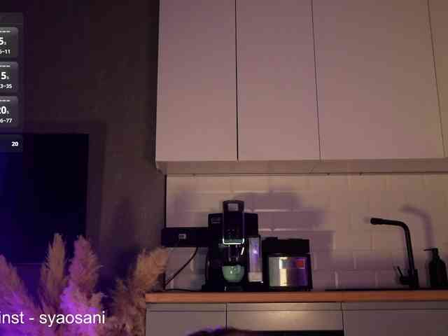 SyaoSan webcam