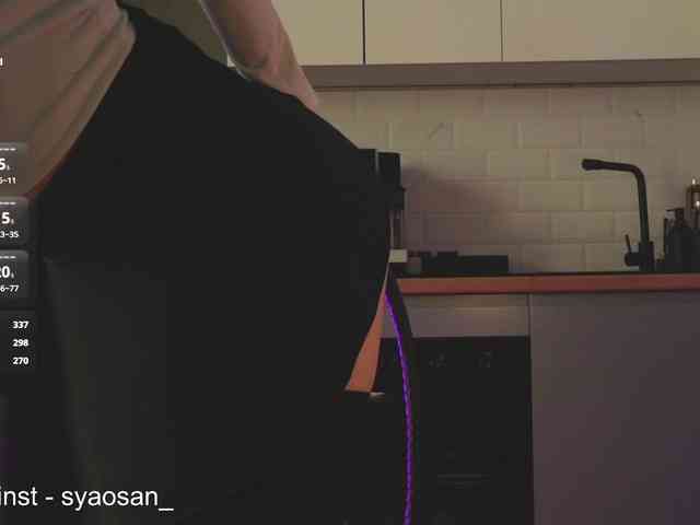 SyaoSan webcam
