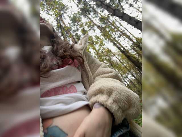 sofiedvige