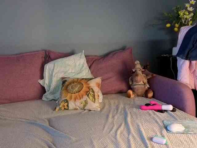 sofiedvige webcam