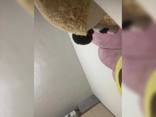 sidgy592 Canlı Cam: BongaCams