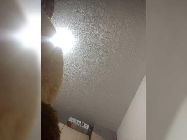 sidgy592 live webcam show