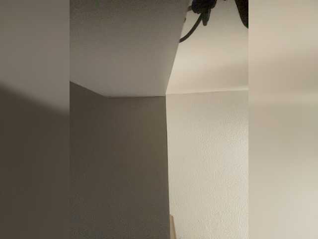 sidgy592 live cam preview