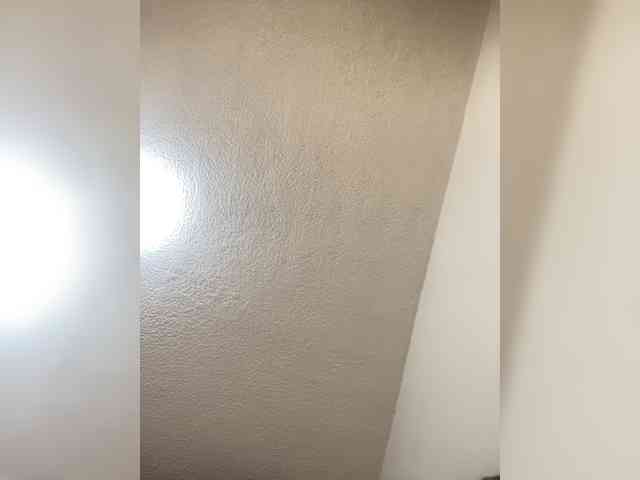 sidgy592 webcam