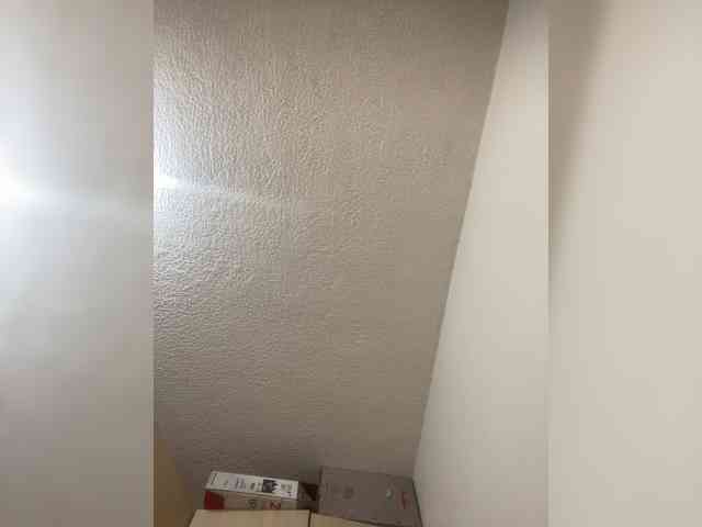 sidgy592 webcam
