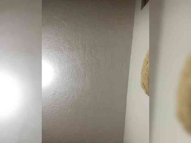 sidgy592 webcam