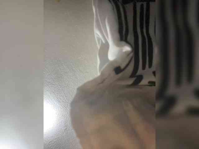 sidgy592 webcam