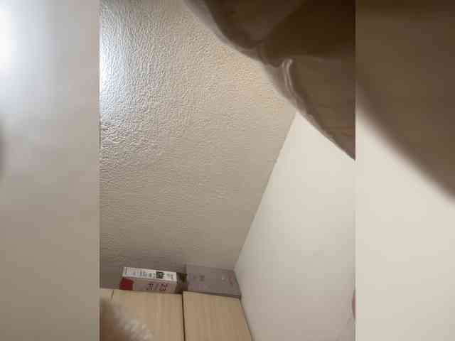 Modella: sidgy592