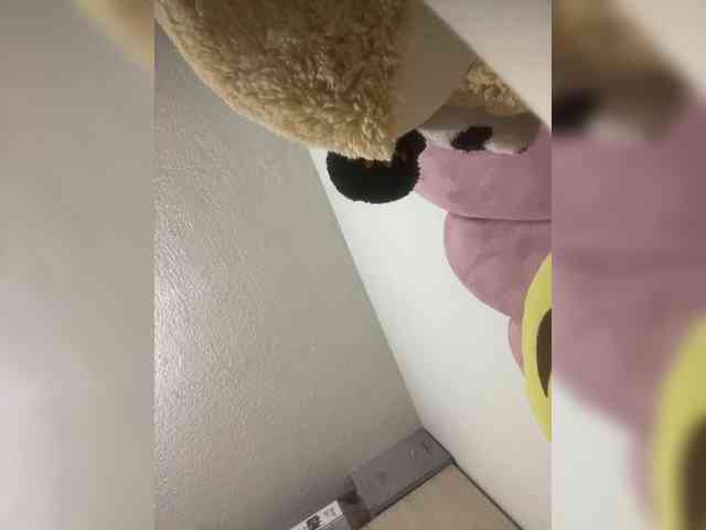 sidgy592 webcam