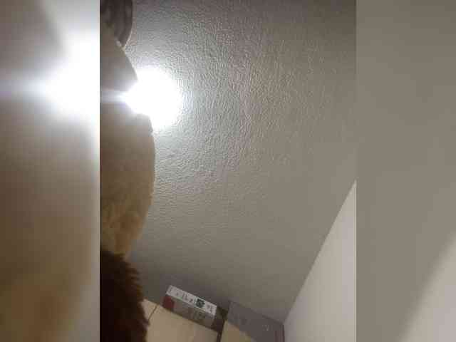 sidgy592 webcam