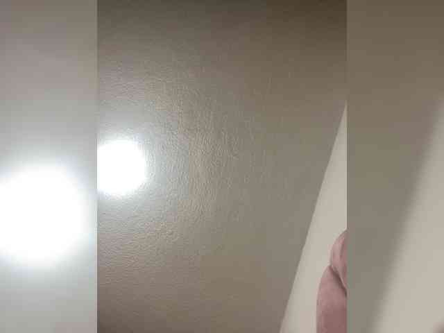 sidgy592 webcam