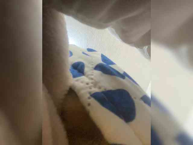 Modella: sidgy592