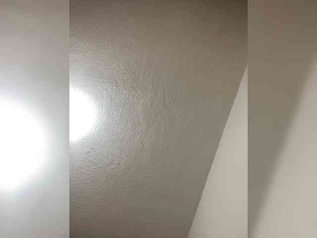 sidgy592 webcam
