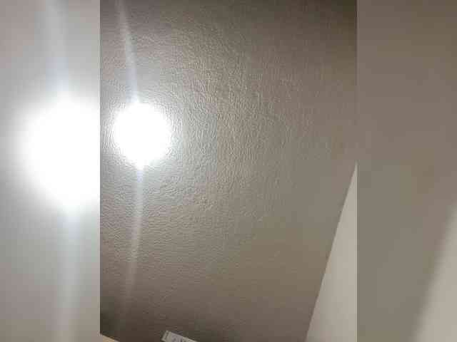 Modella: sidgy592