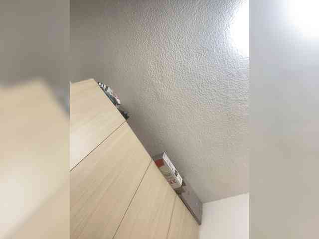 Modella: sidgy592