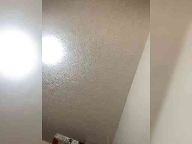 sidgy592 webcam