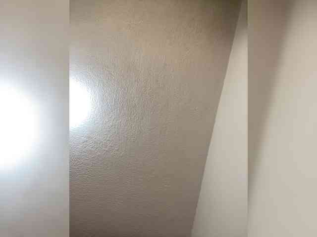 sidgy592 webcam