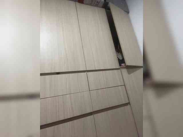 Modella: sidgy592
