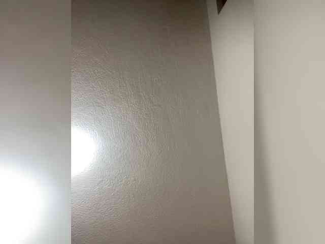 sidgy592 webcam