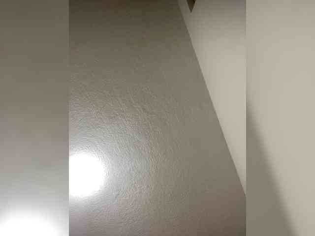 sidgy592 webcam