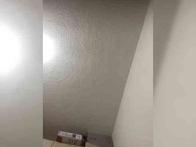 sidgy592 webcam