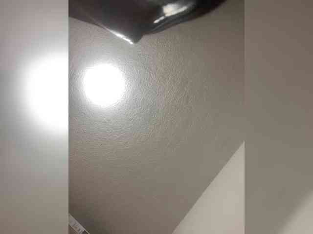 sidgy592 webcam