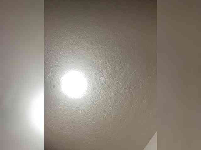 sidgy592 webcam