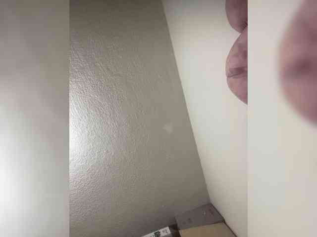 sidgy592 webcam