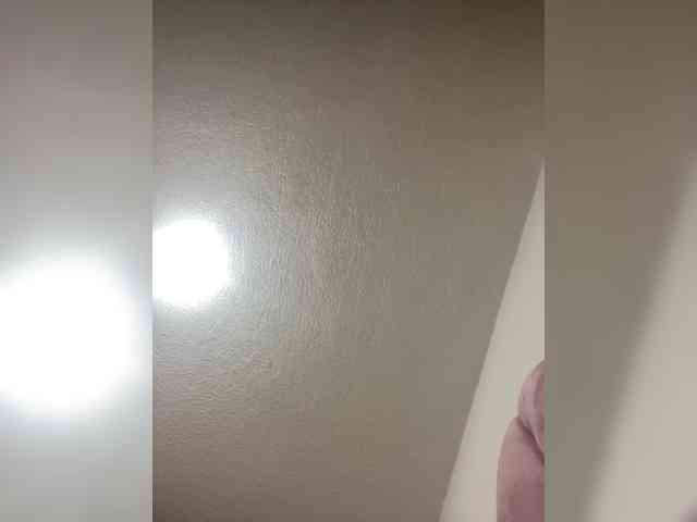 sidgy592 webcam