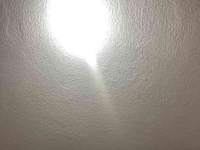 sidgy592 webcam