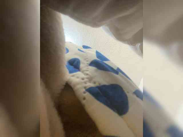 sidgy592 webcam