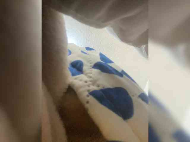 sidgy592 webcam