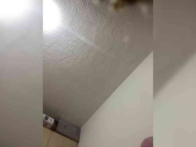 sidgy592 webcam