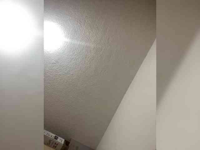 sidgy592 webcam
