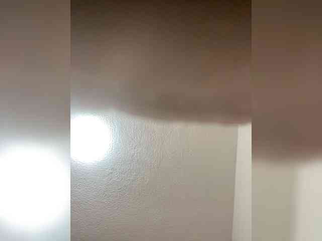 sidgy592 webcam