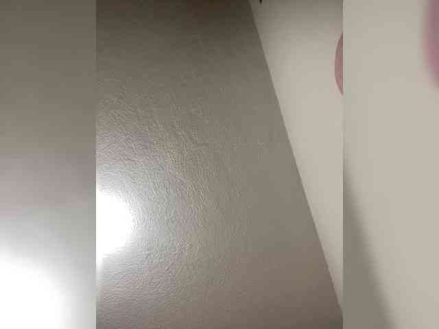 sidgy592 webcam