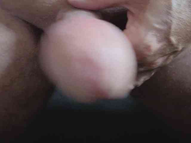 Bi-horny