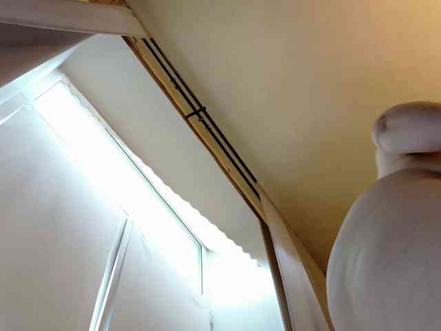 Margocurves webcam