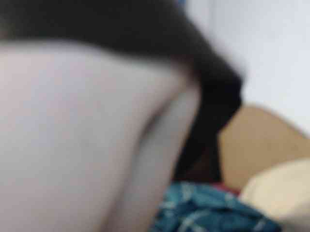 Model: MyP_MyP