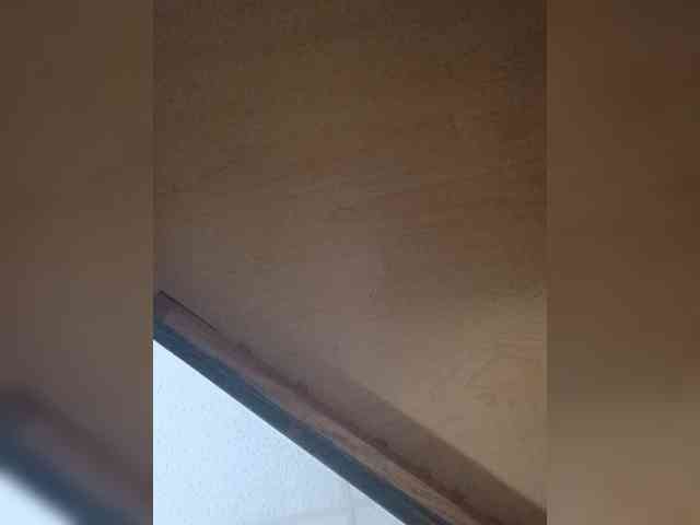Dawn5089 webcam