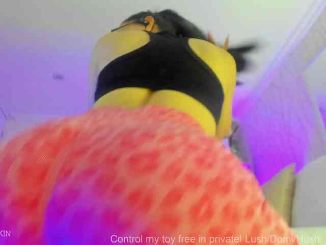 abellaskin1 webcam