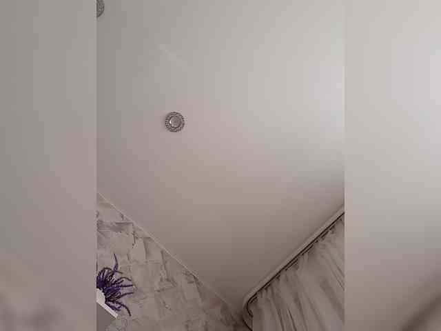 Lana-11 webcam