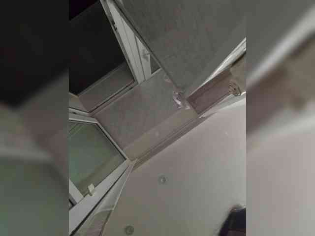 Lana-11 webcam