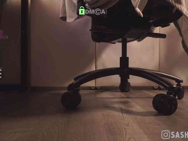 SashiMia webcam