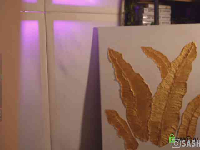 SashiMia webcam