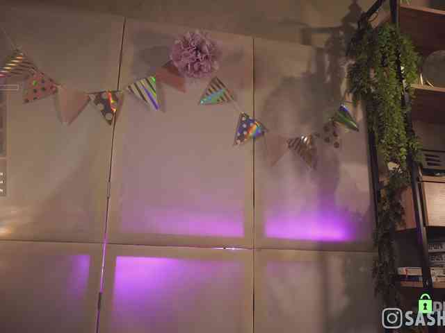 SashiMia webcam