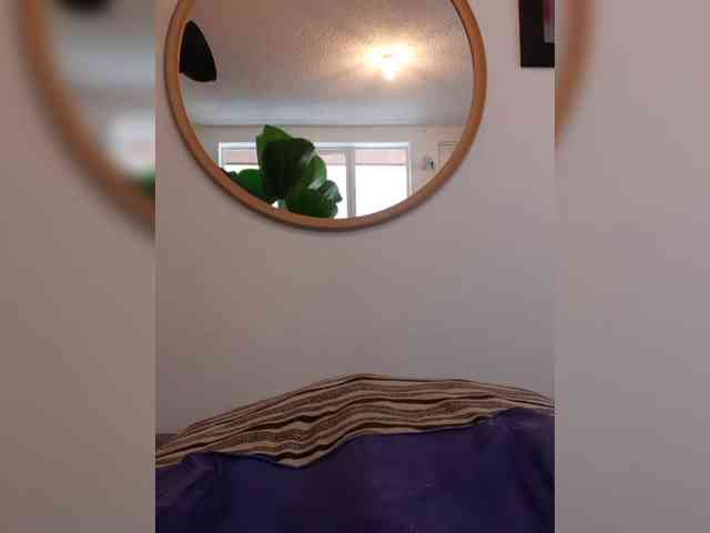 Fruttituttis webcam