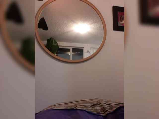 Fruttituttis webcam