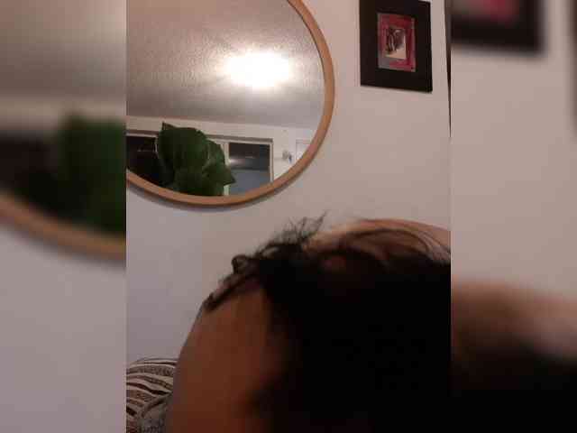 Fruttituttis webcam